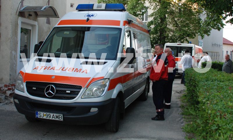 images/stiri/catuse bun.jpg